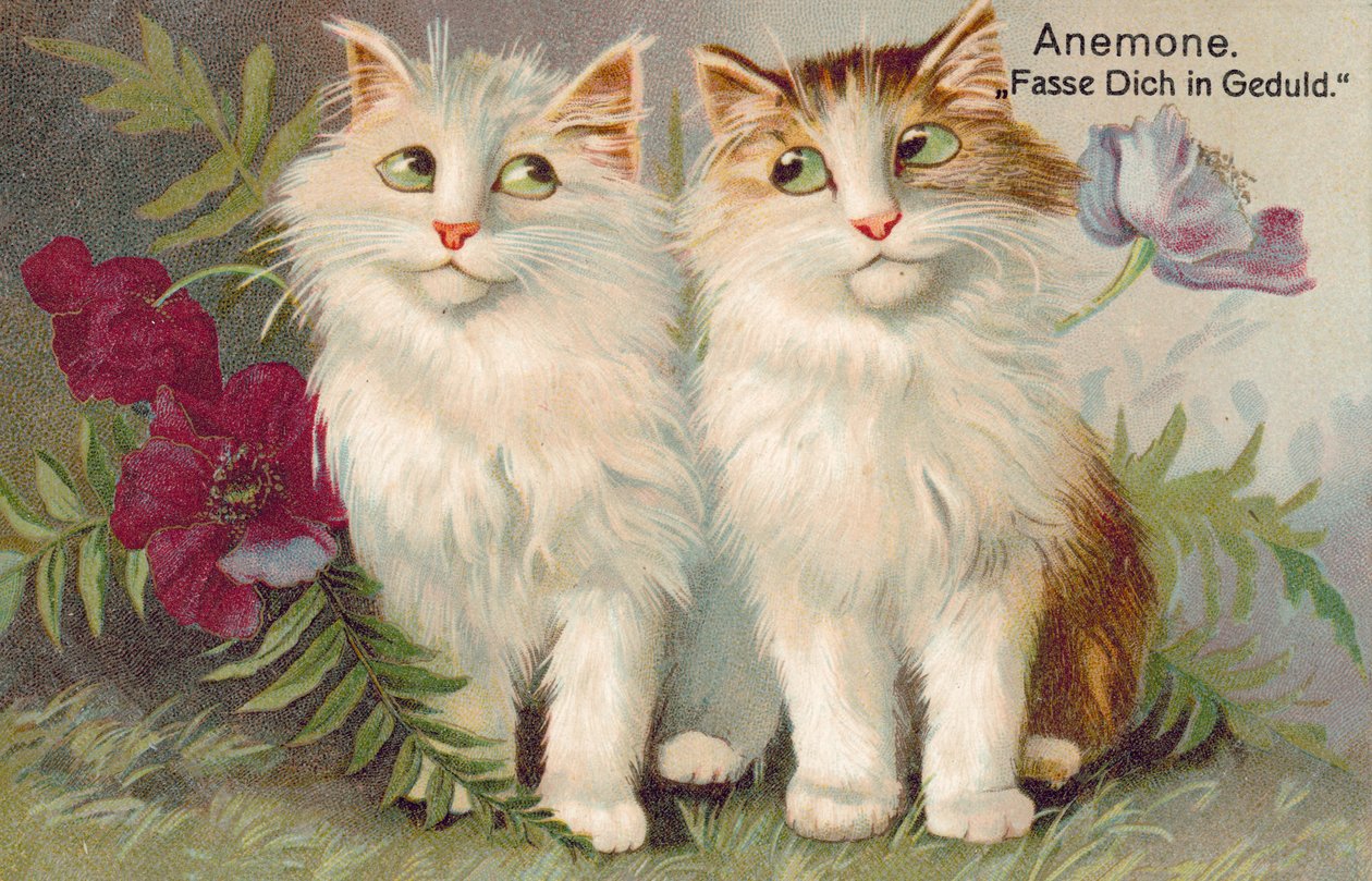 Cat Postcard by European School