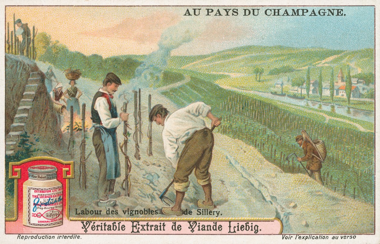 Champagne, Liebig Card, Early 20th Century by European School