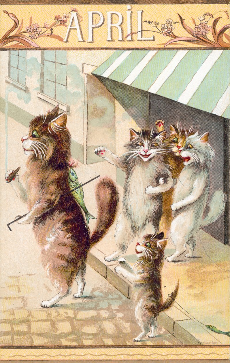 Humorous Cat Postcard by European School