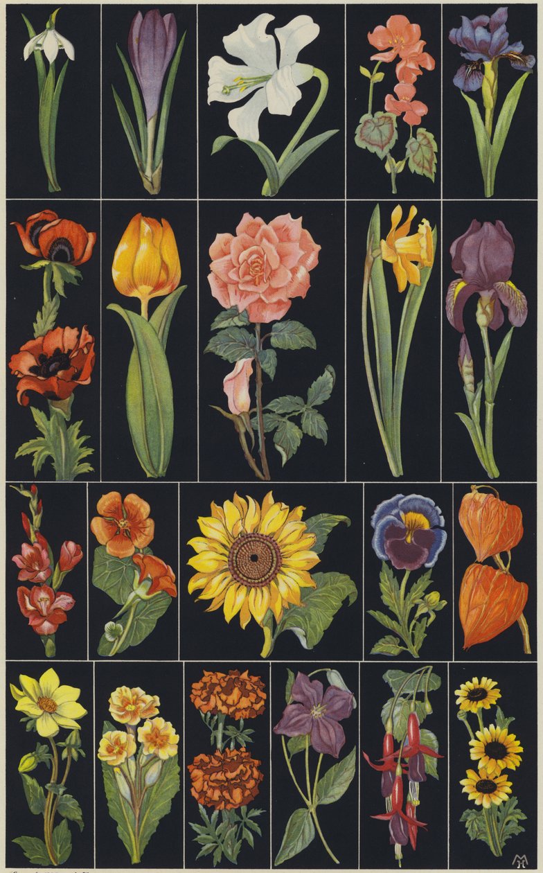 Page from Children
