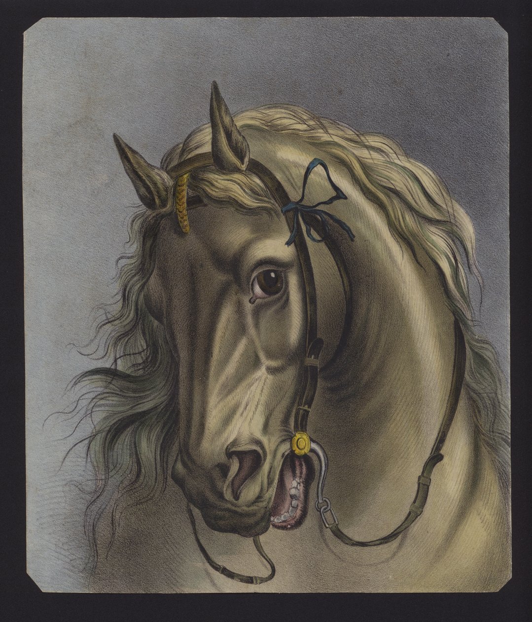Portrait of a Horse by European School