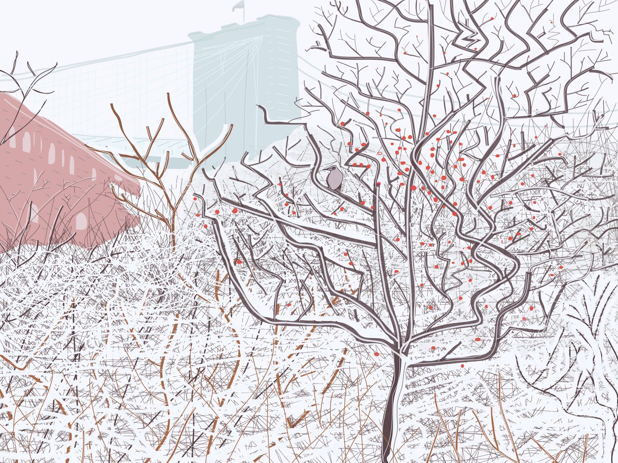 Bird In Snow, Brooklyn Bridge Park by Evan Sklar