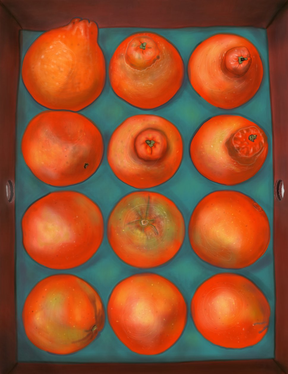 Box of Oranges by Evan Sklar