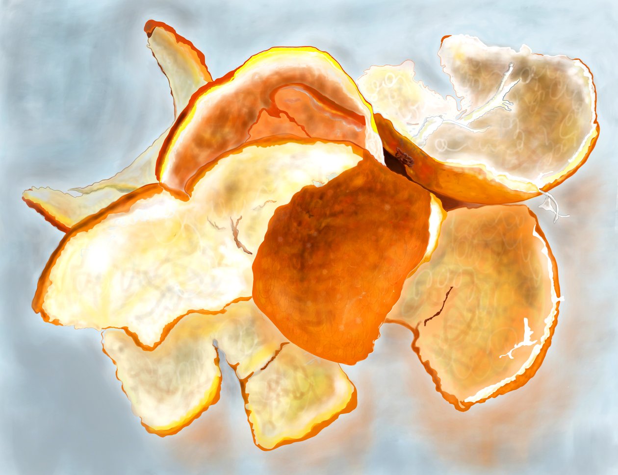 Clementine Peels by Evan Sklar