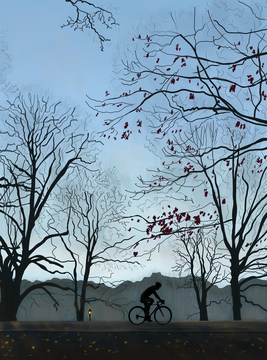 Cyclist, Morning, Prospect Park by Evan Sklar