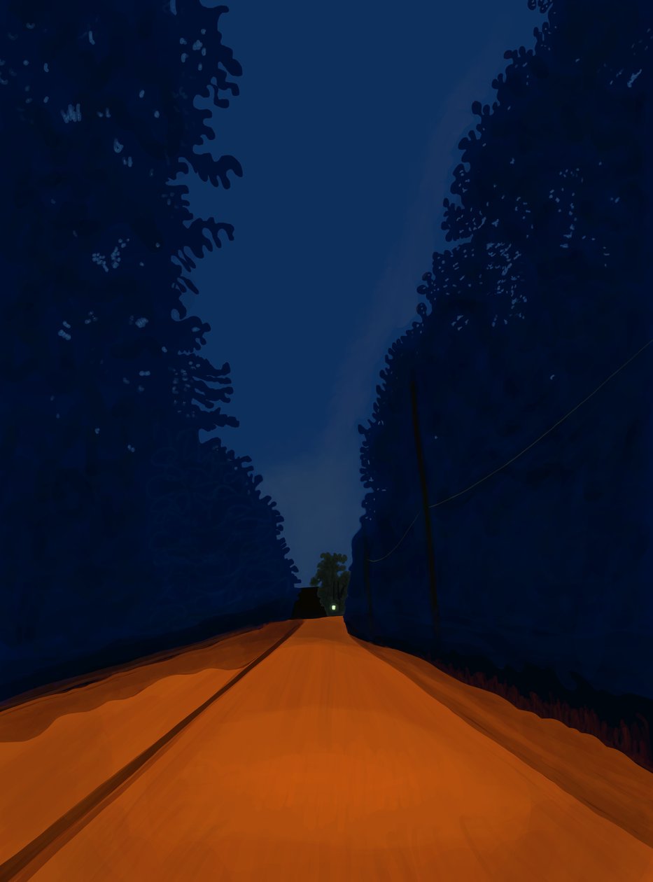 Dirt Road At Night, Brooklyn by Evan Sklar