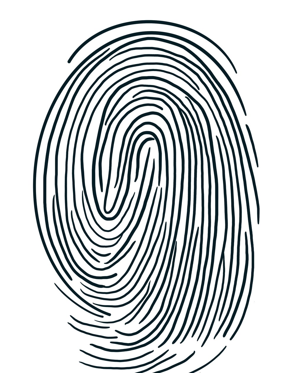 Drawing of a Fingerprint, Brooklyn by Evan Sklar