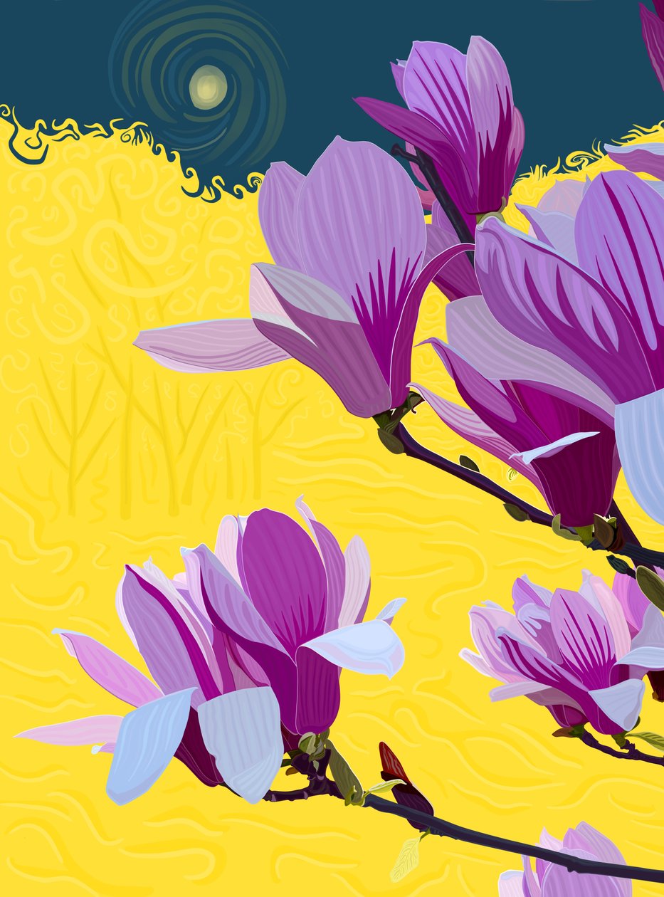 Flowering Tulip Tree by Evan Sklar