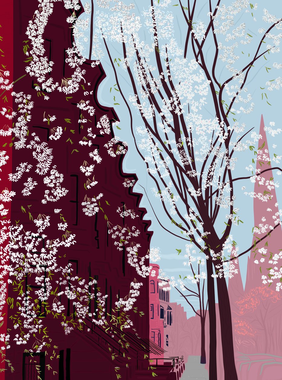 Garfield Place, Spring, Brooklyn by Evan Sklar