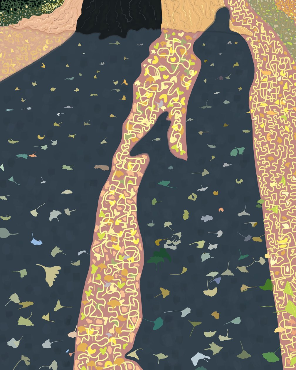 Ginkgo Leaves and Shadows, Brooklyn by Evan Sklar