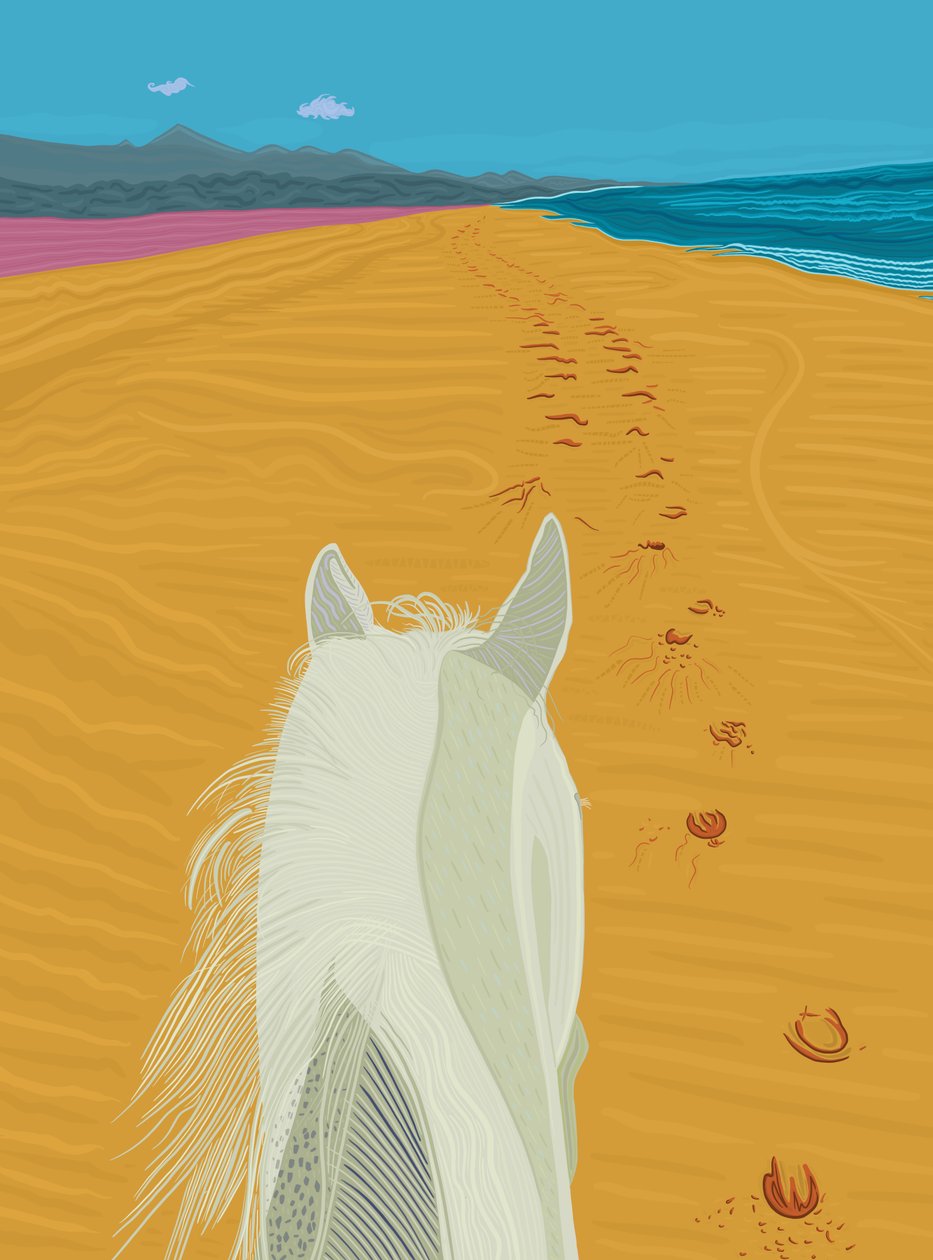 Horse on Beach, c.2020-24 by Evan Sklar