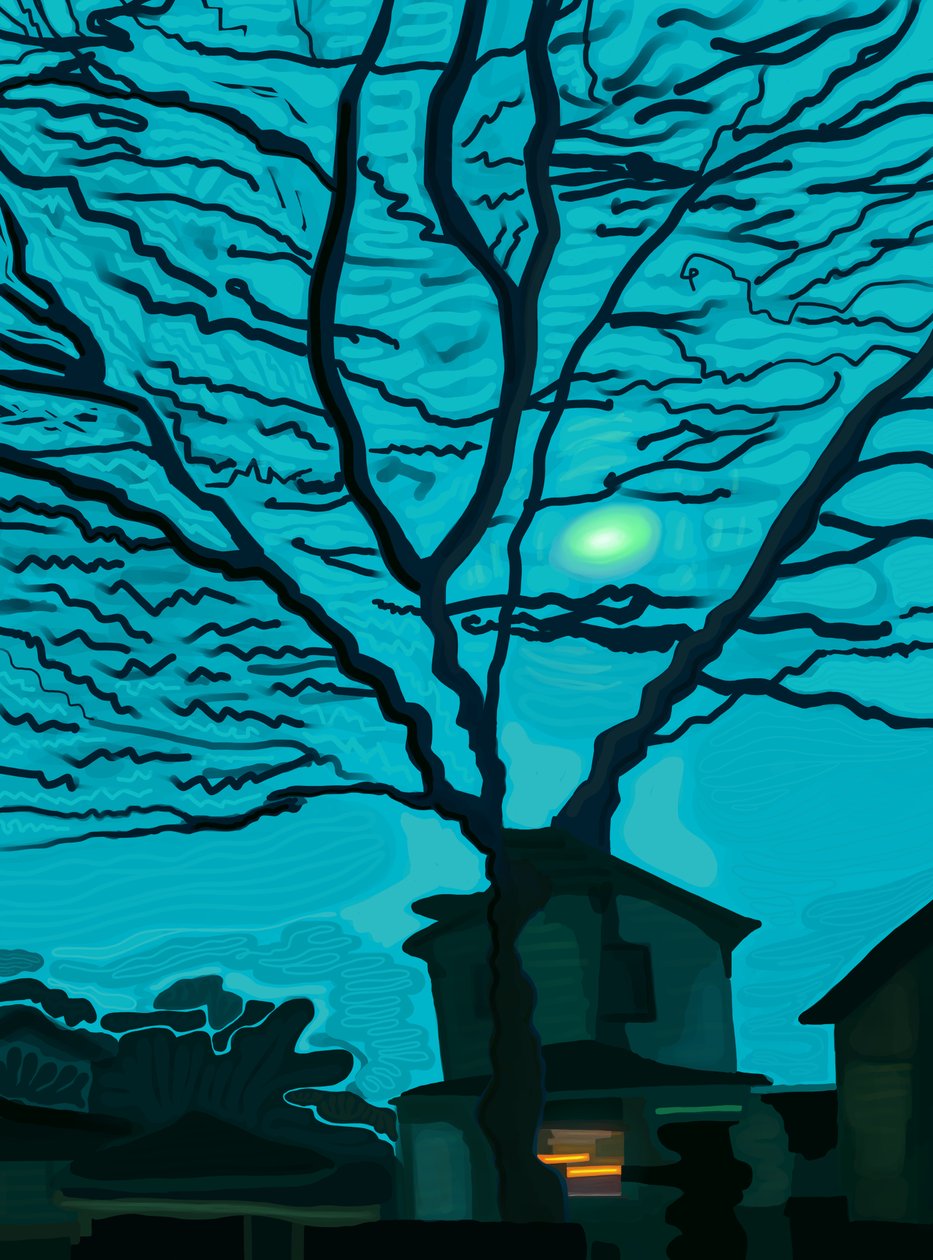 House in Queens at Night by Evan Sklar