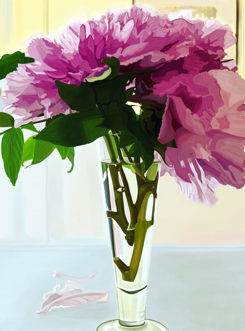 Magenta Peonies in Vase by Evan Sklar