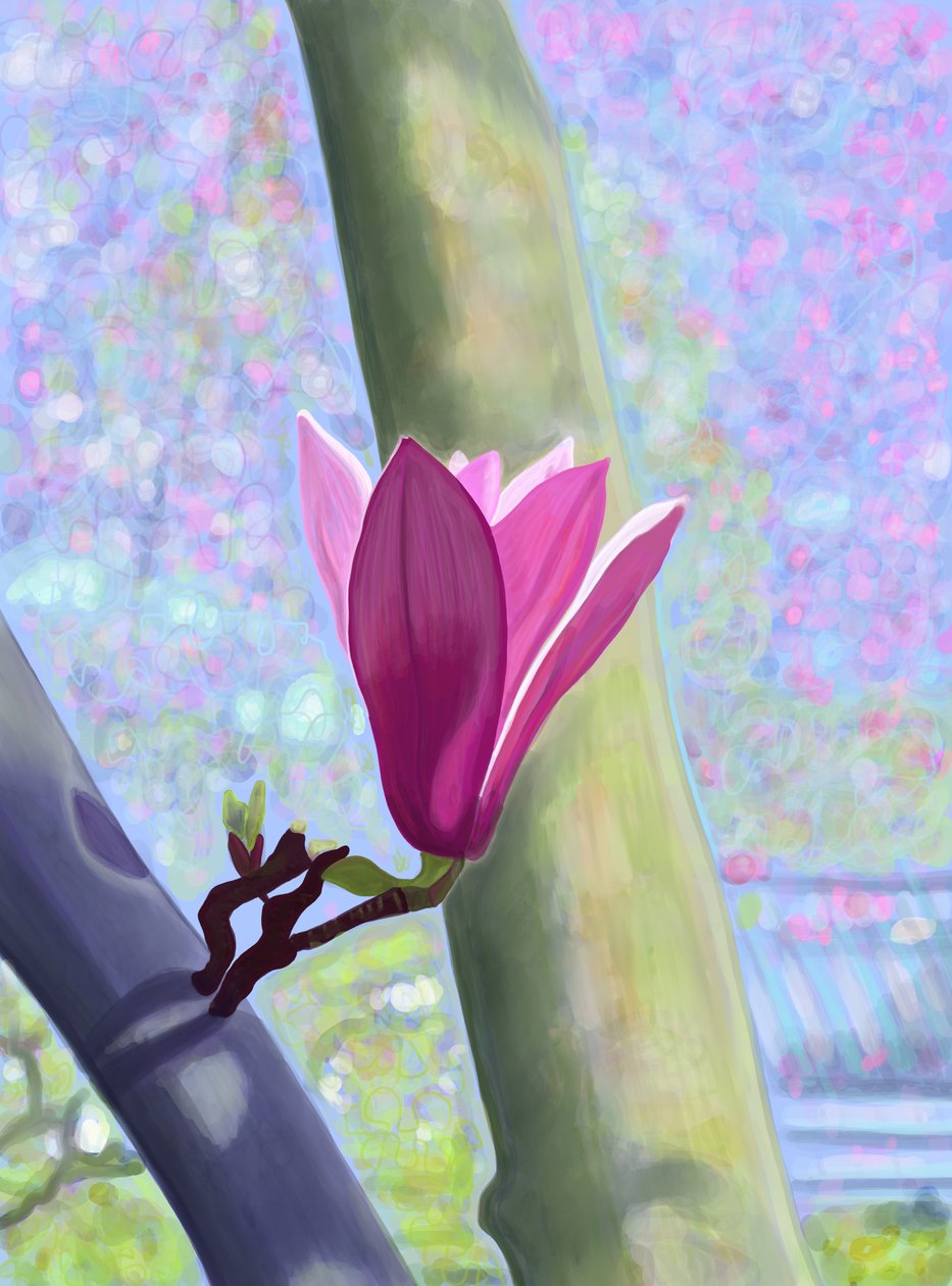 Magnolia Blossom by Evan Sklar