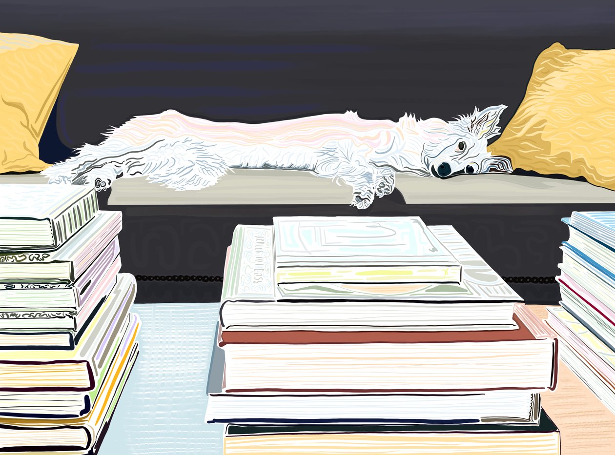 Minnie On Couch with Books, c.2020-24 by Evan Sklar