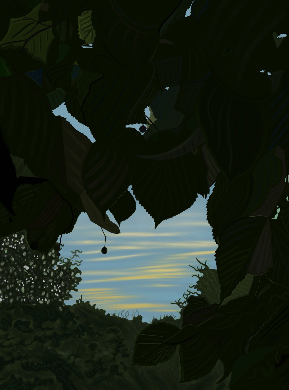 Morning Sky Through Leaves by Evan Sklar