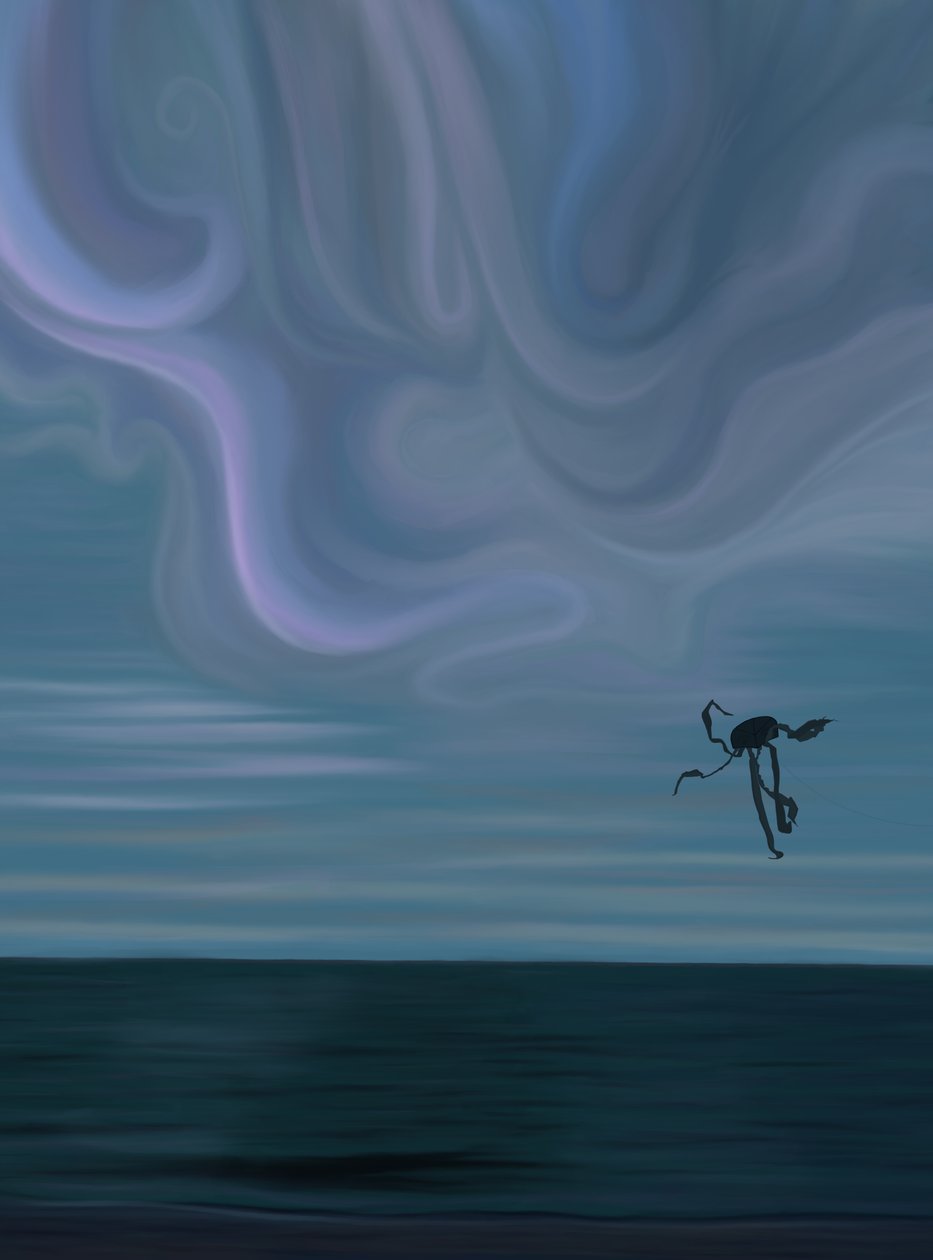 Ocean and Cloud with Octopus Kite by Evan Sklar