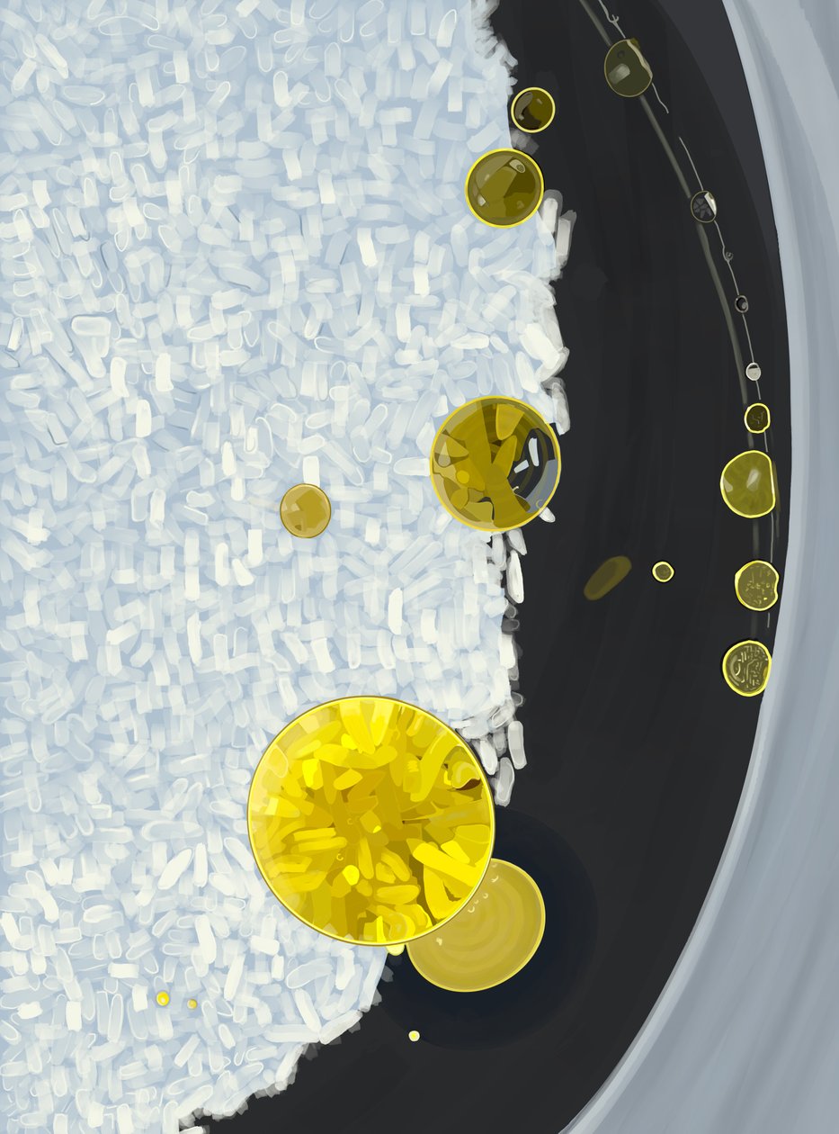 Rice Cooking In Pot With Drops of Olive Oil by Evan Sklar