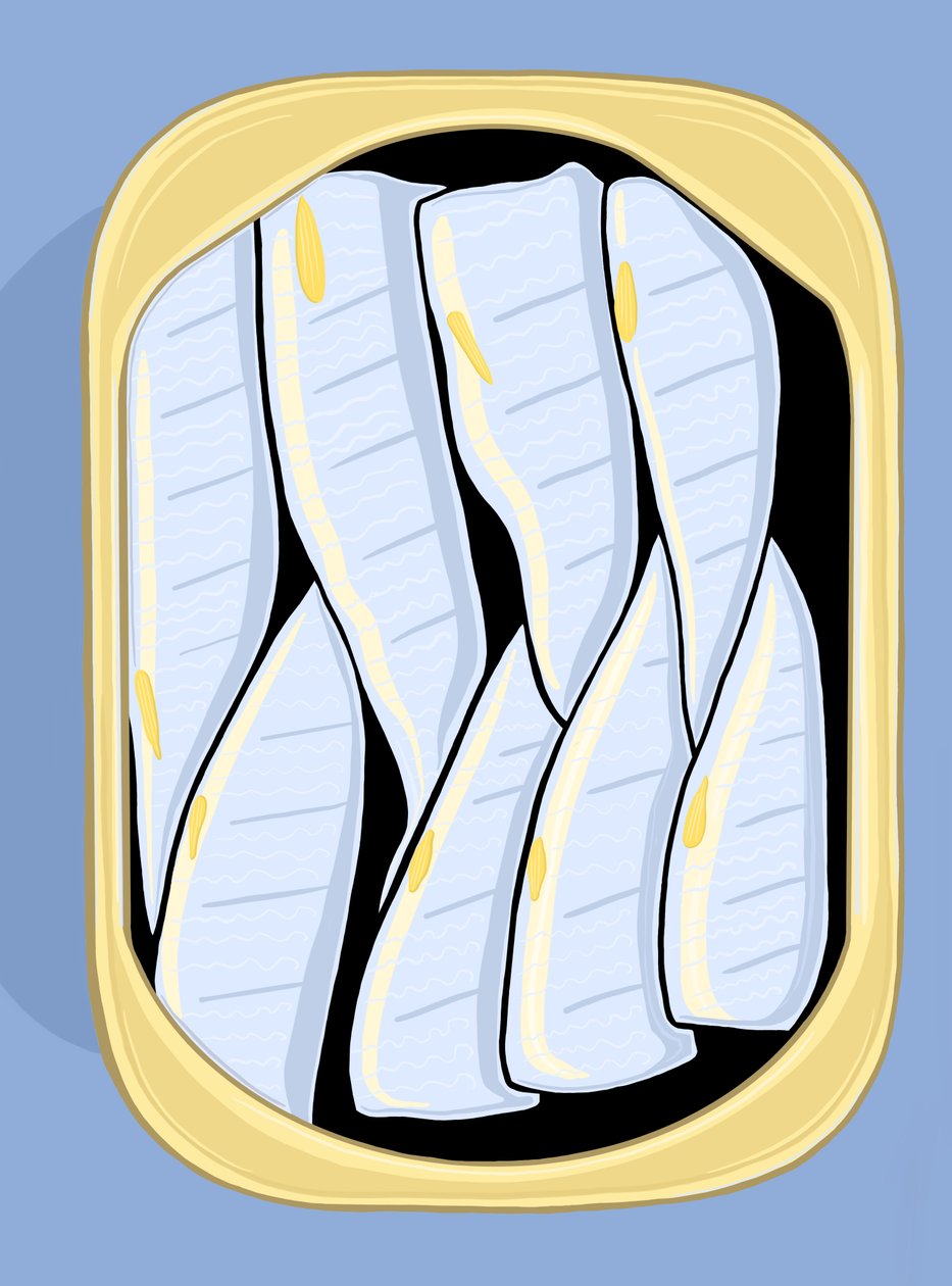 Sardines, c.2020-24 by Evan Sklar