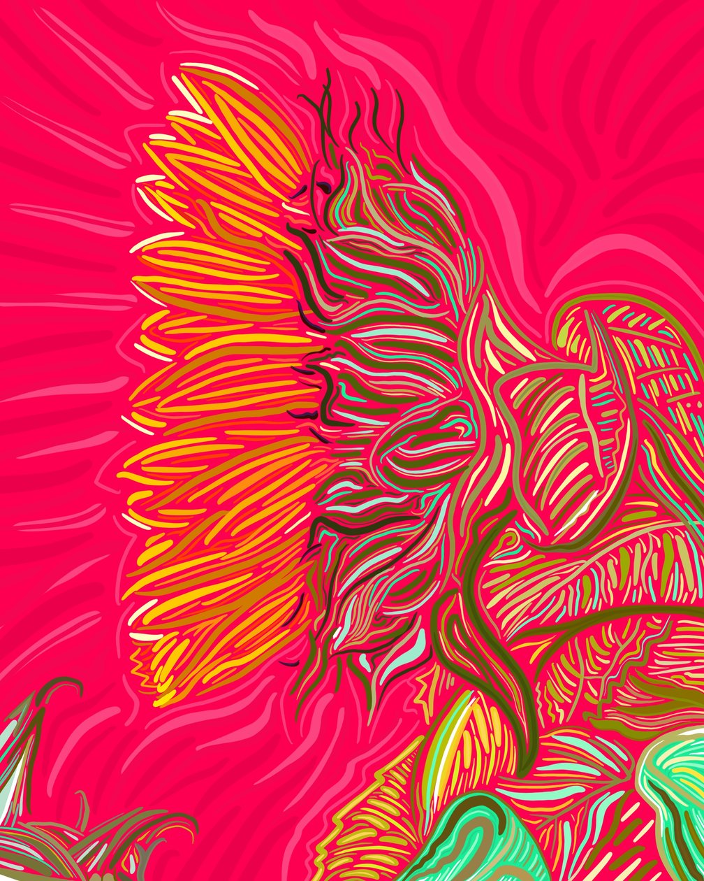 Single Sunflower by Evan Sklar