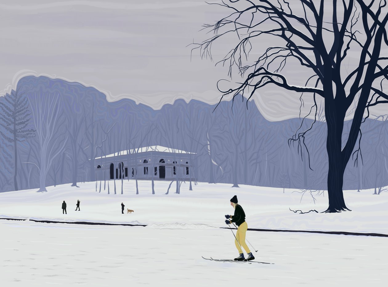 Skier, Prospect Park, Brooklyn by Evan Sklar