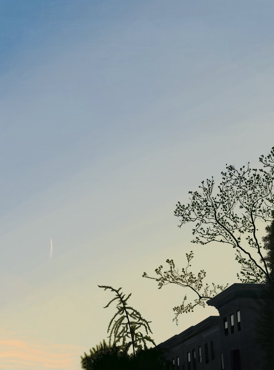 Small Contrail by Evan Sklar