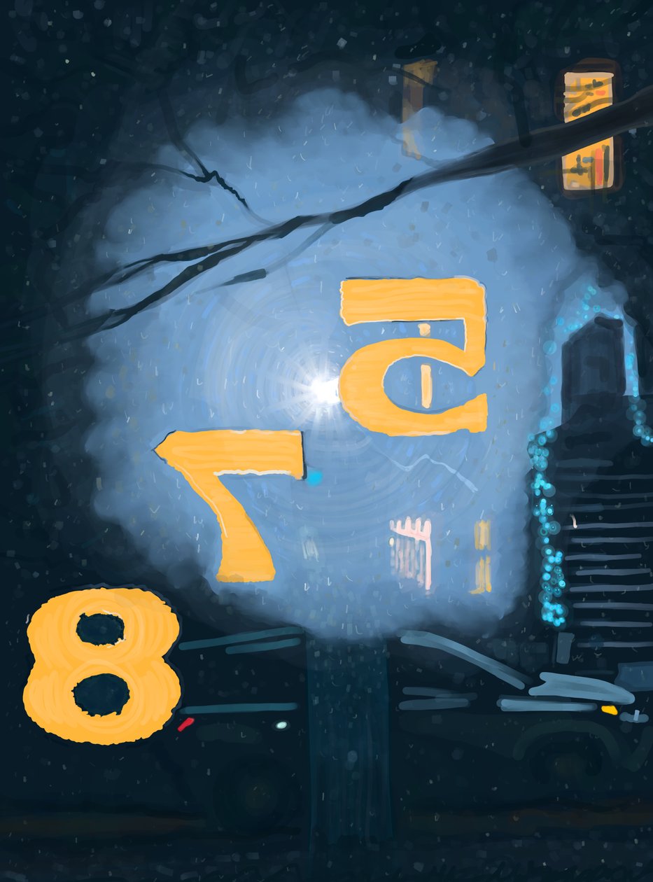 Snow At Night Seen Through Numbering On Front Door, Brooklyn by Evan Sklar