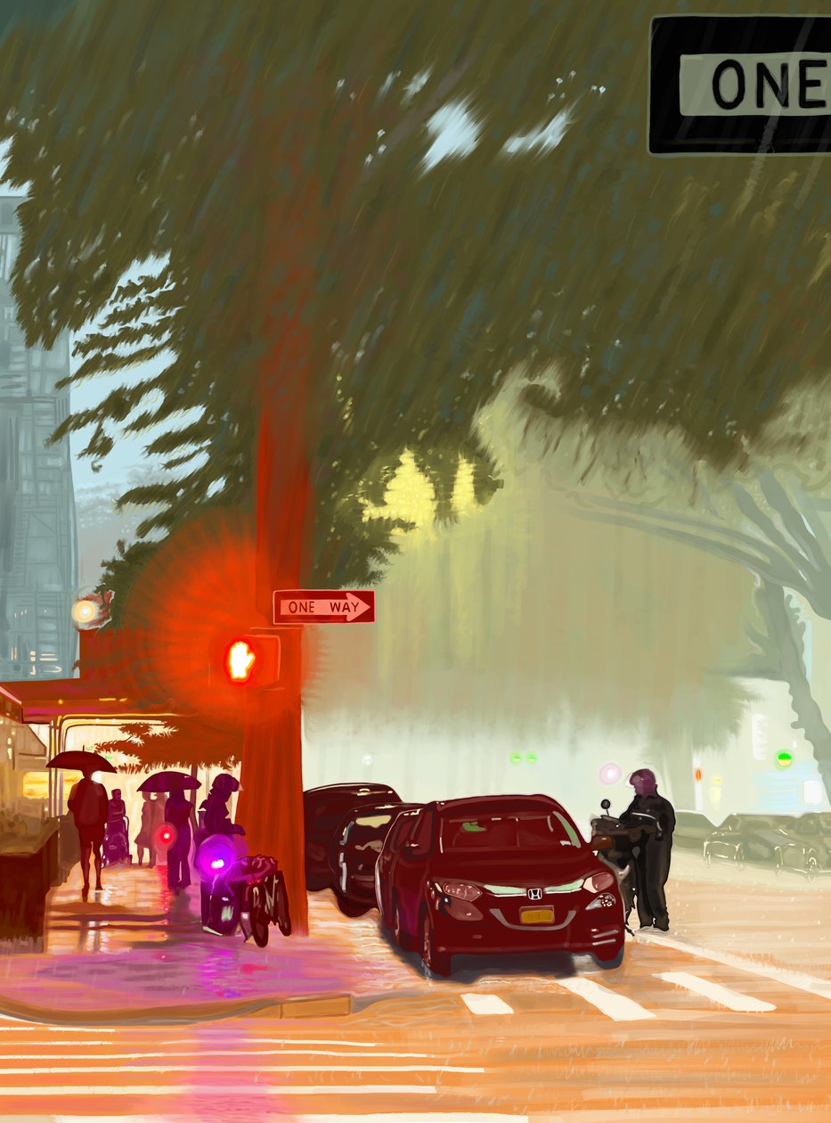 Summer Rainstorm by Evan Sklar