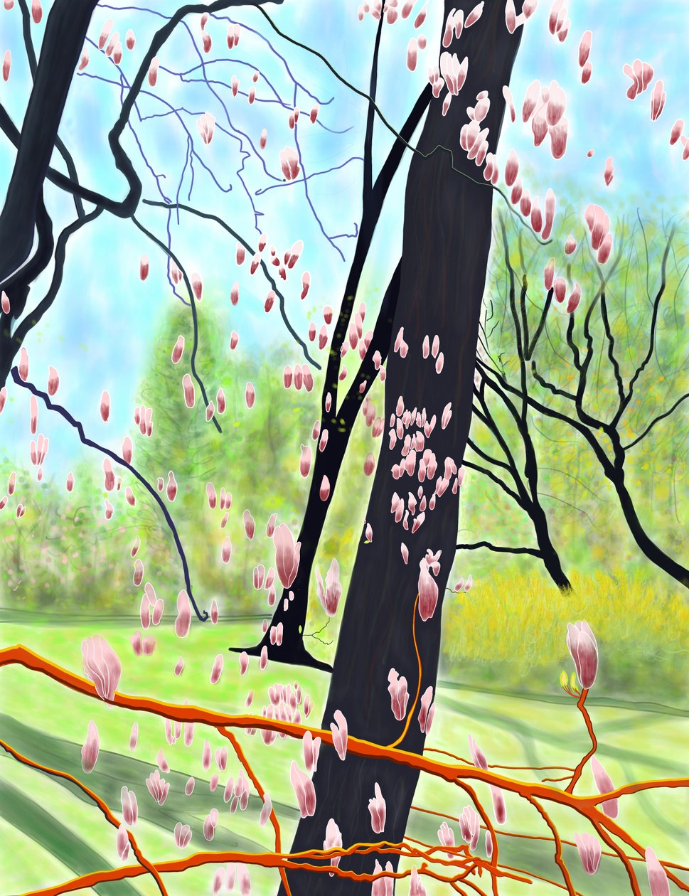 Tulip Tree by Evan Sklar