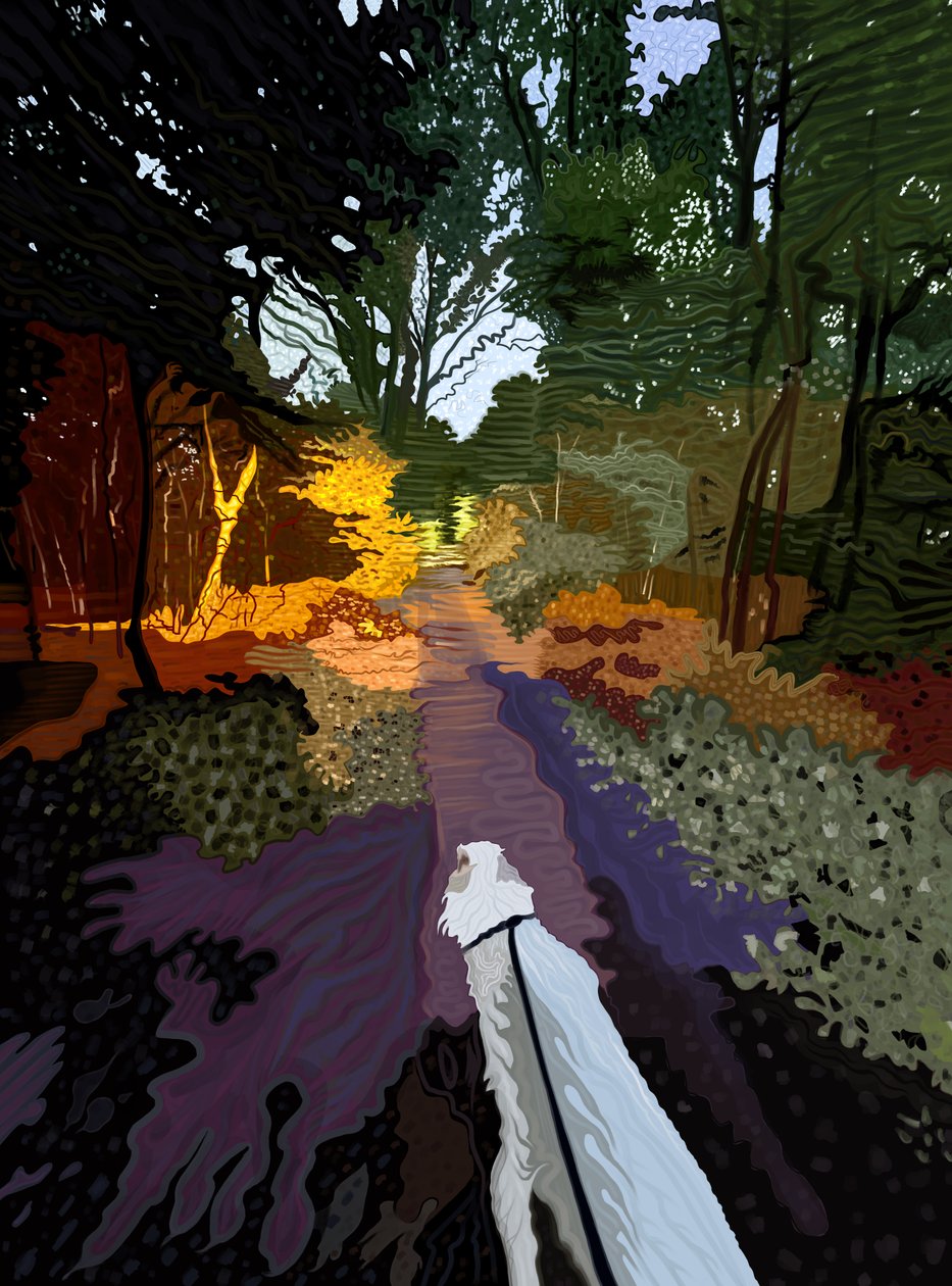 White Dog Walking In Forest by Evan Sklar