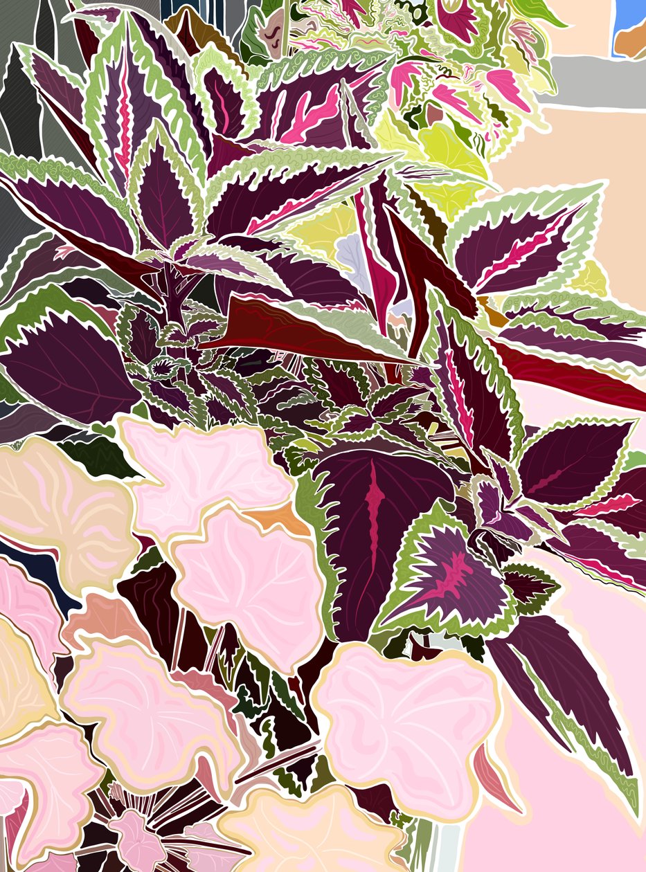 Window Box with Coleus and Coral Bells by Evan Sklar