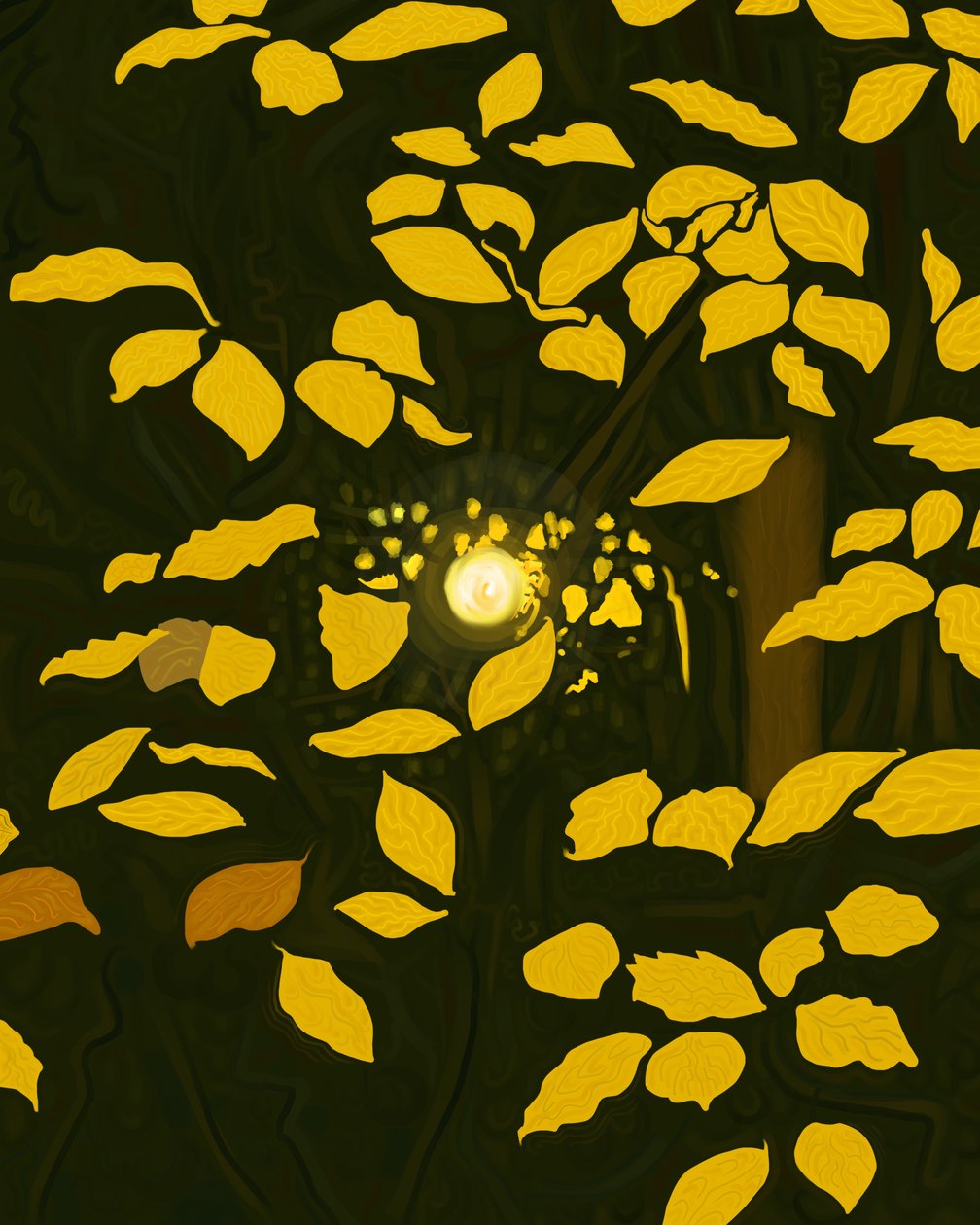 Yellow Leaves by Evan Sklar