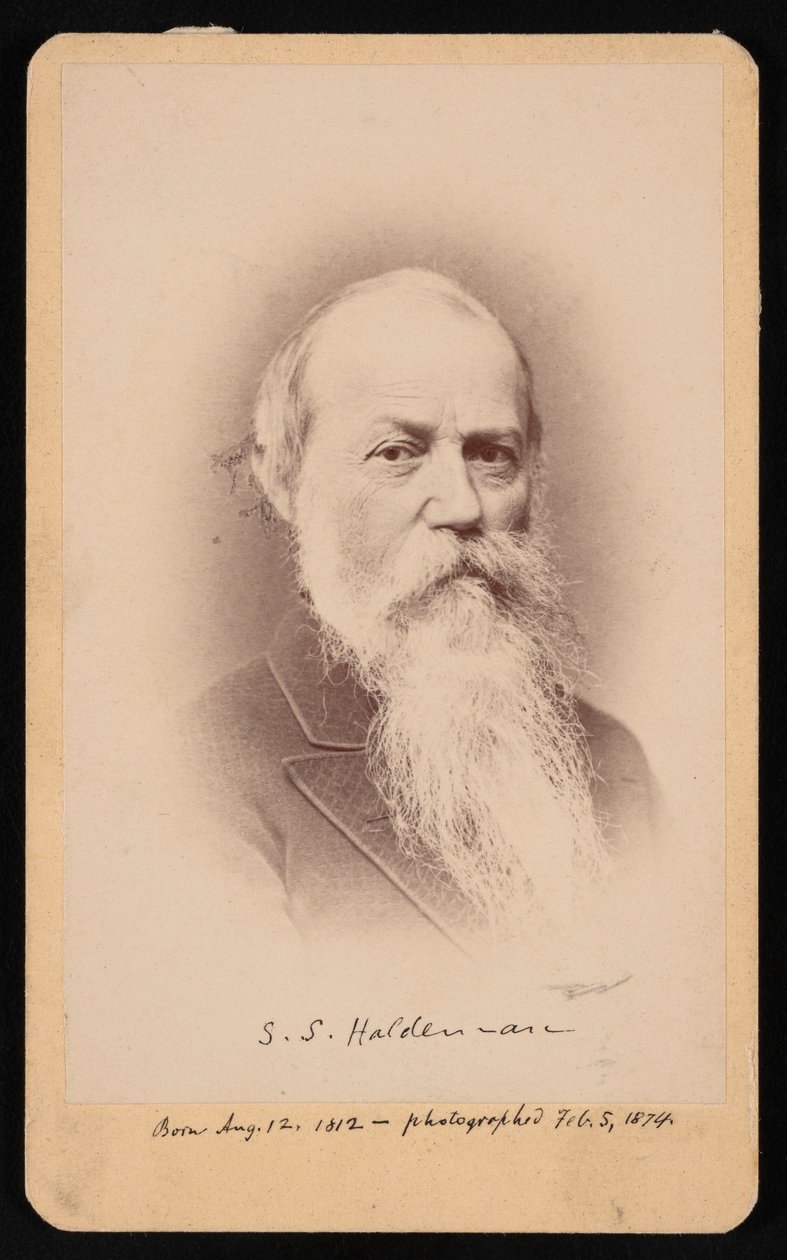 Portrait of Samuel Stehman Haldeman 1812-1880, February 5, 1874 by FA Wenderoth and Co