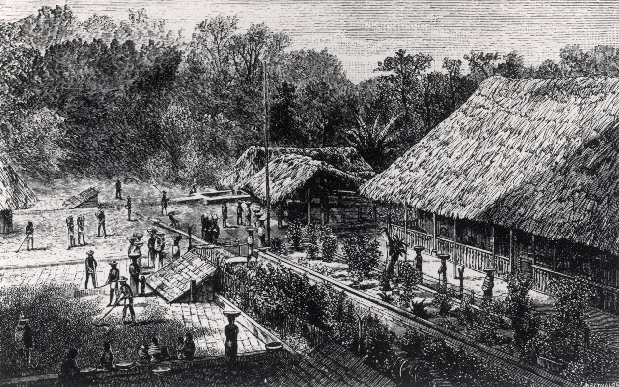Workers on a Coffee Plantation by F.M. Reynolds