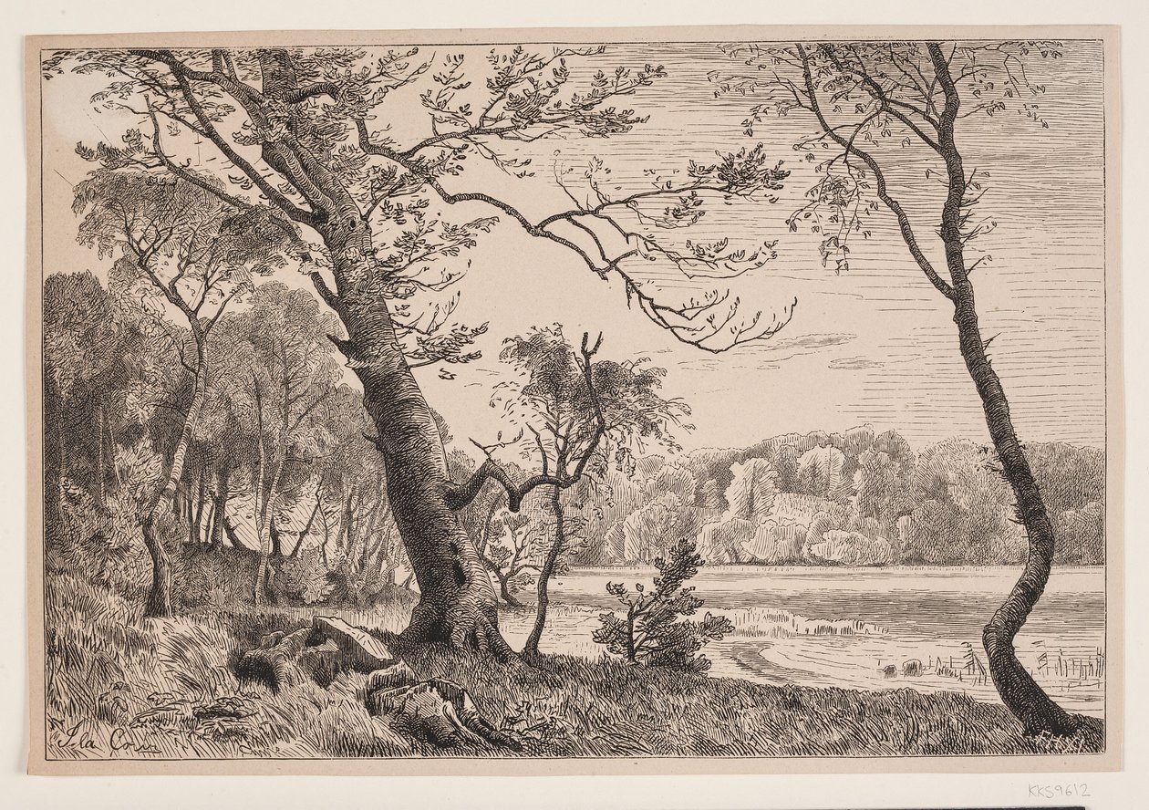 The Grove at Silkeborg Towards Fruens Bench by F. Hendriksen