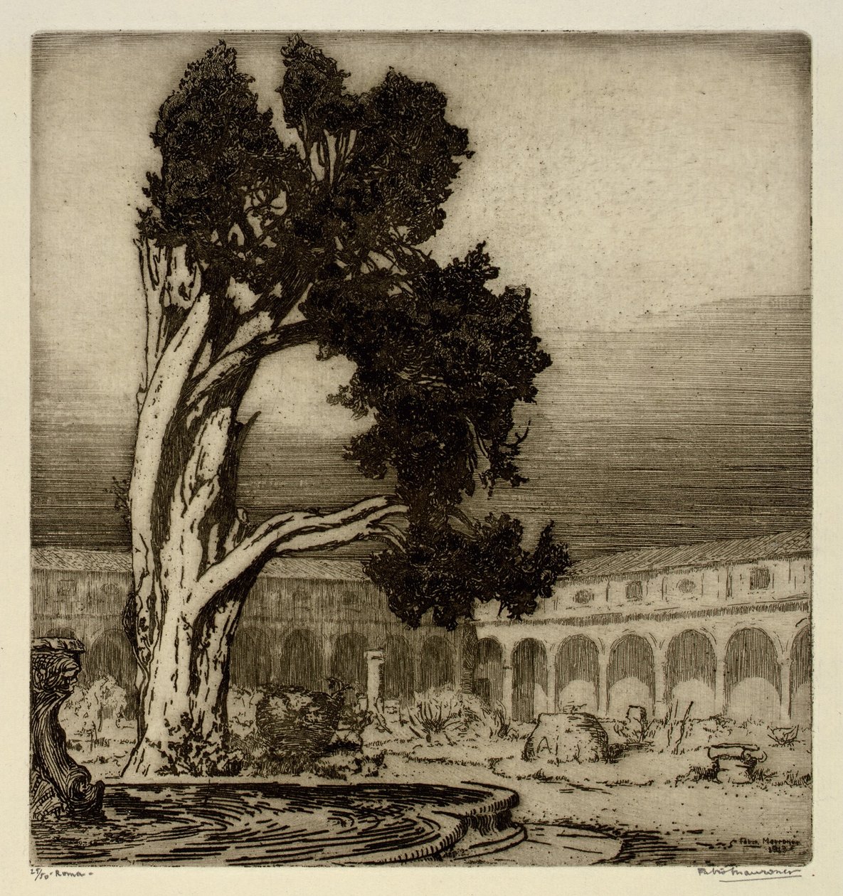 The Cypress of Michelangelo, Rome by Fabio Mauroner