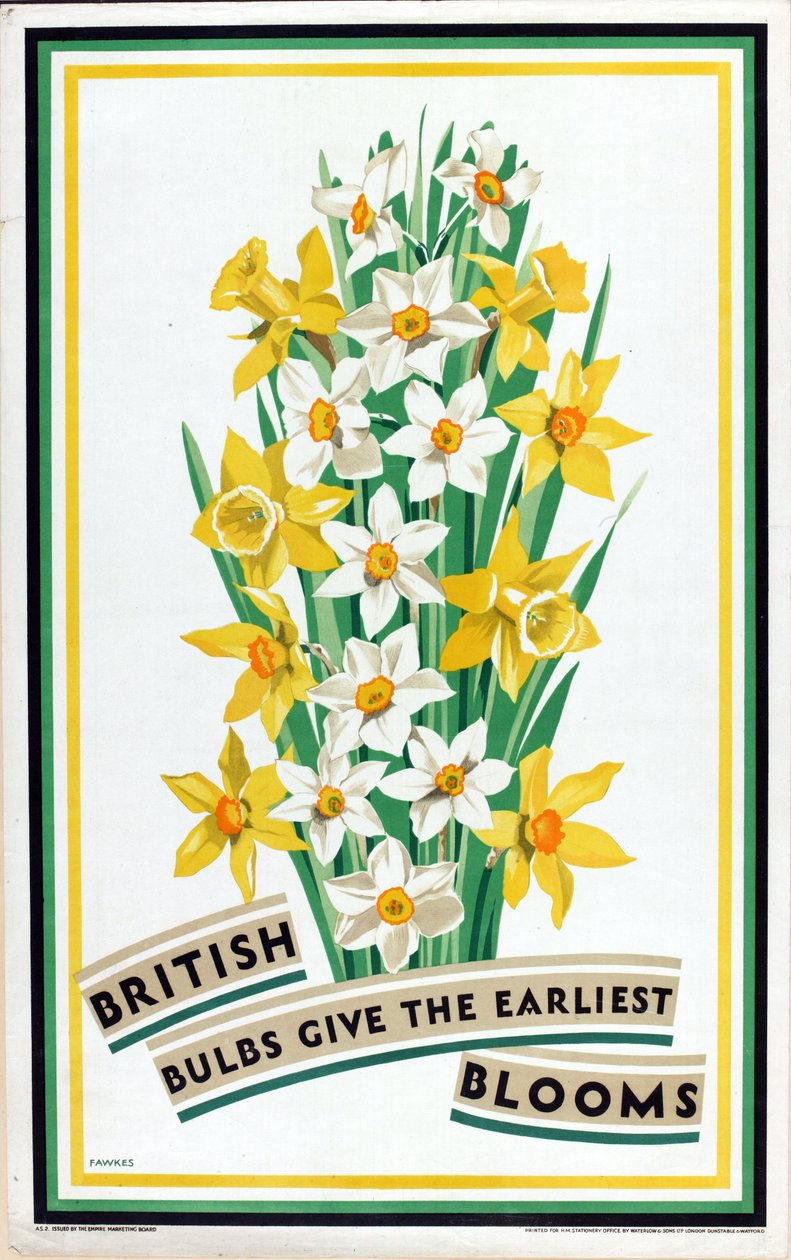 British Bulbs Give the Earliest Blooms, from the series 