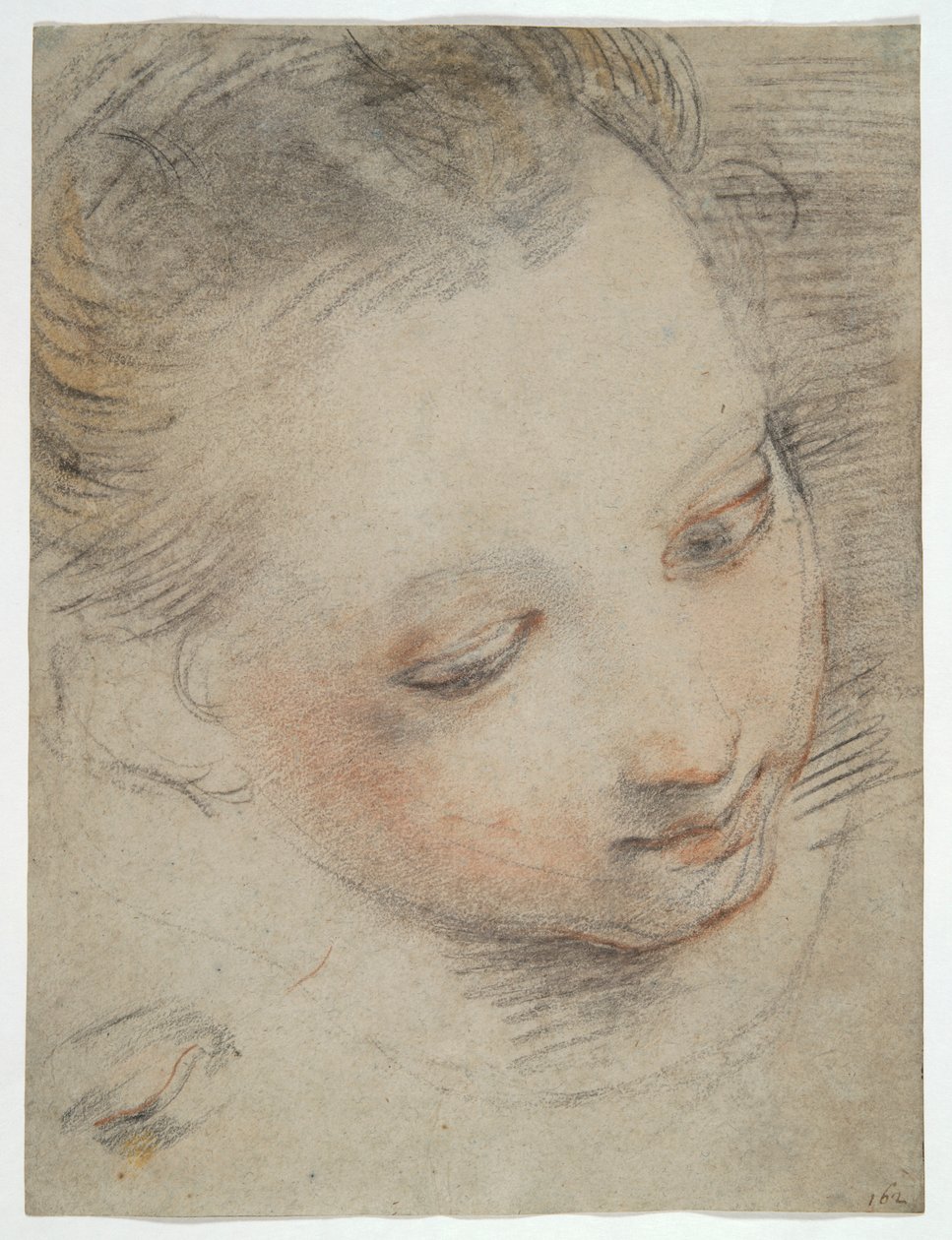 Head of a Girl, Study for a Figure in the Madonna del Popolo Altarpiece in the Uffizi by Federico Barocci