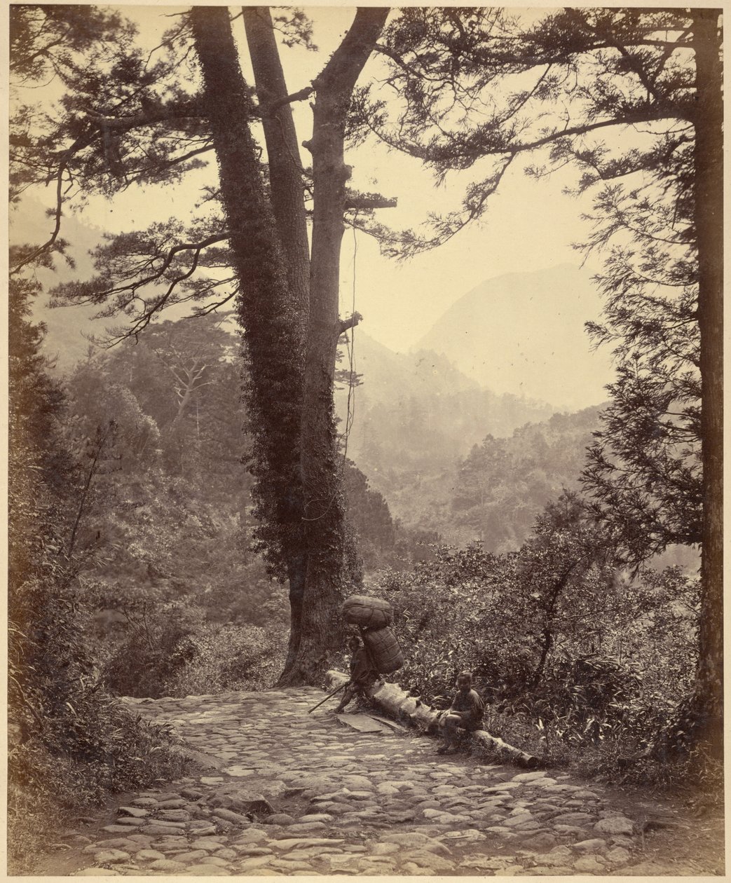View of the Hakone Pass by Felice Beato