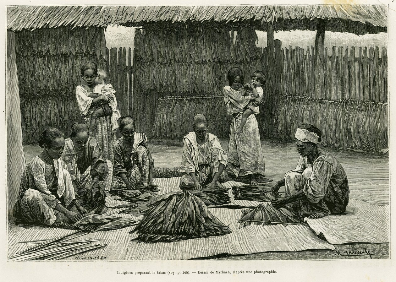 Indigenous people making tobacco. Engraving by Myrbach to illustrate the story 