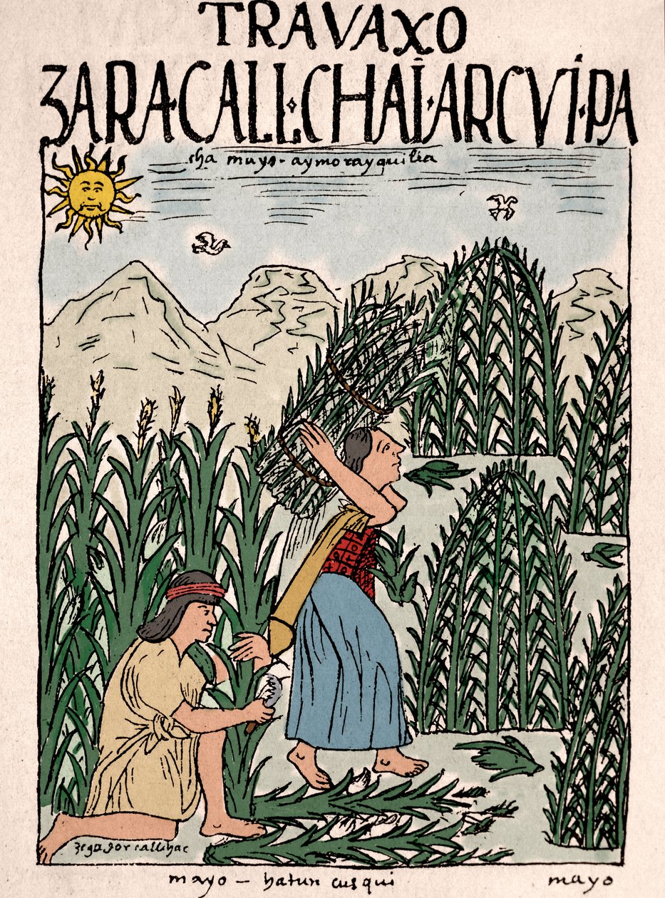 Inca Empire: Inca peasants working in the fields in May (Ink drawing from Don Felipe Puma de Ayala