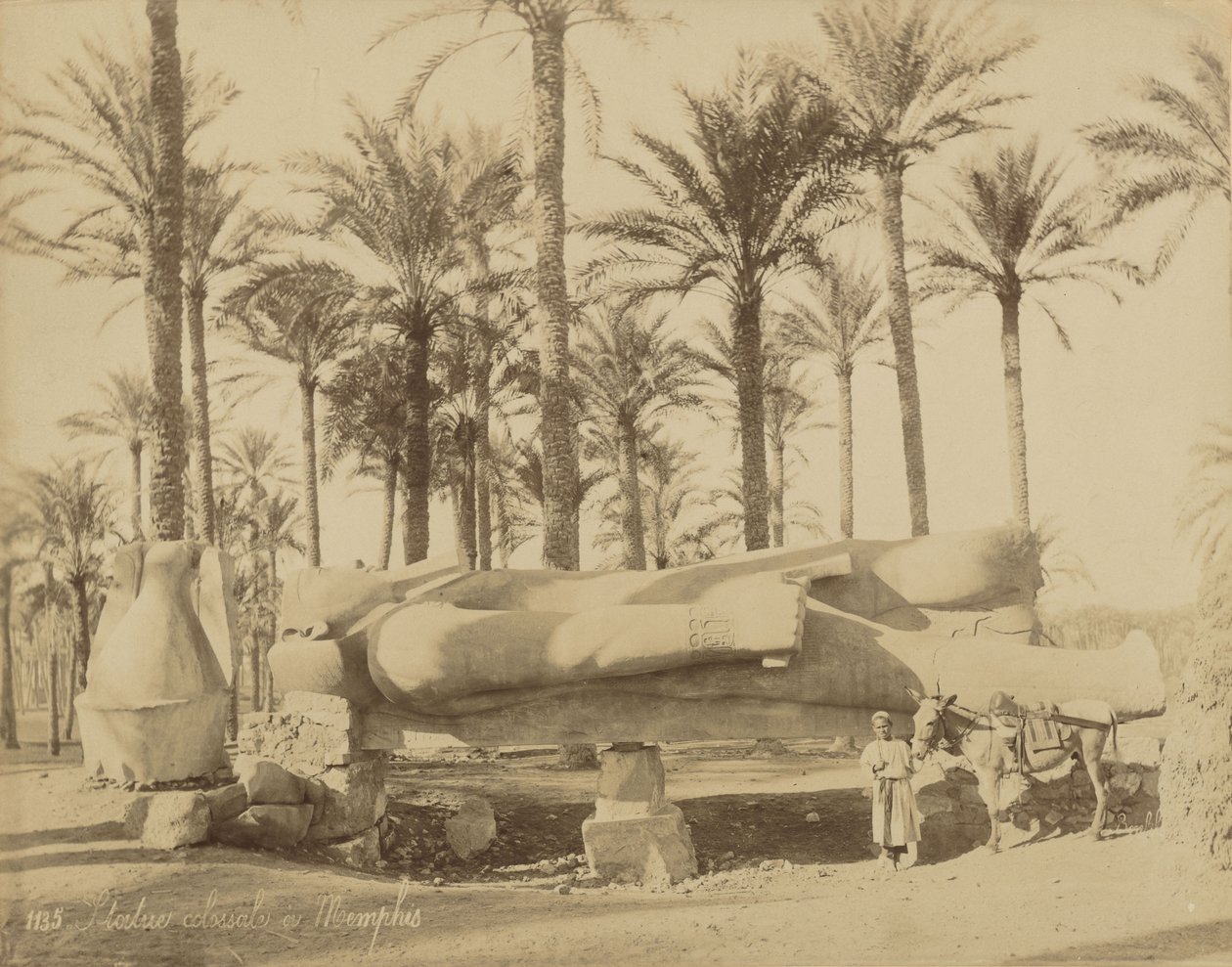 Colossal Classical Statue at Memphis (Senwosret III) by Félix Bonfils