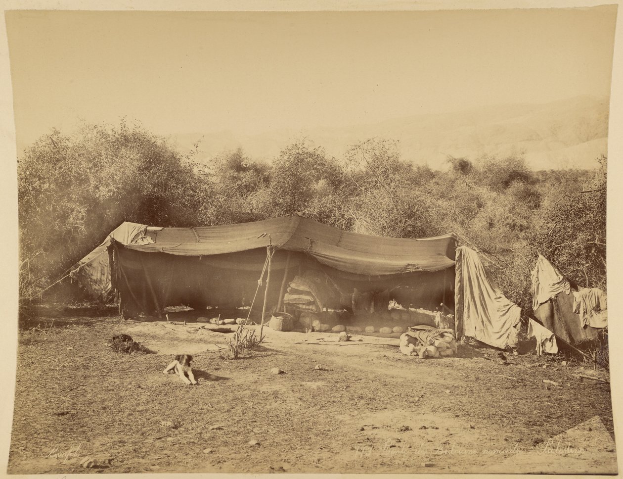 Tent of Nomadic Bedouins, Palestine by Félix Bonfils