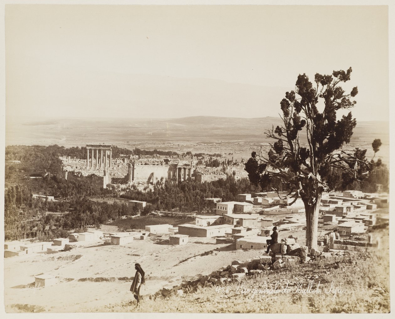 General View of Baalbek, Syria #438 by Félix Bonfils