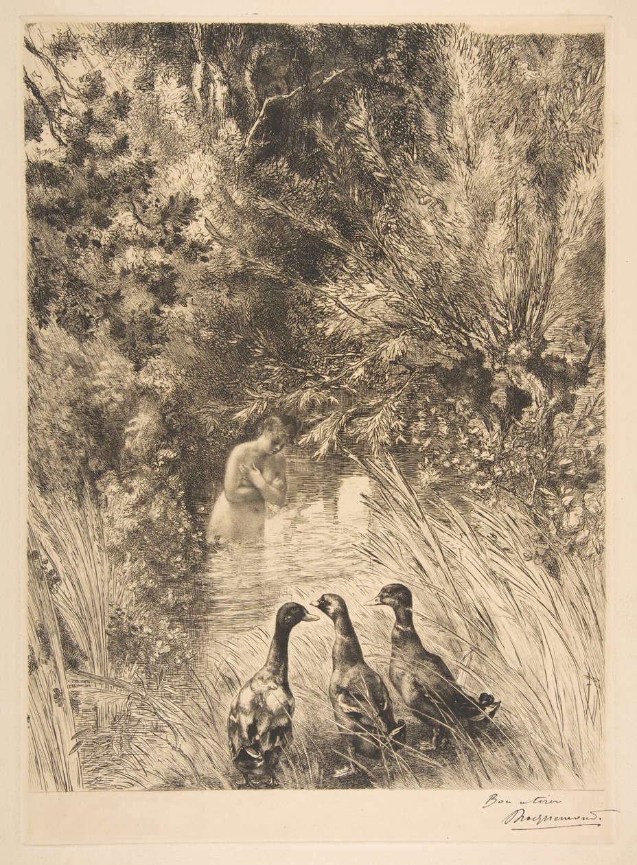 Surprised Ducks by Felix Bracquemond
