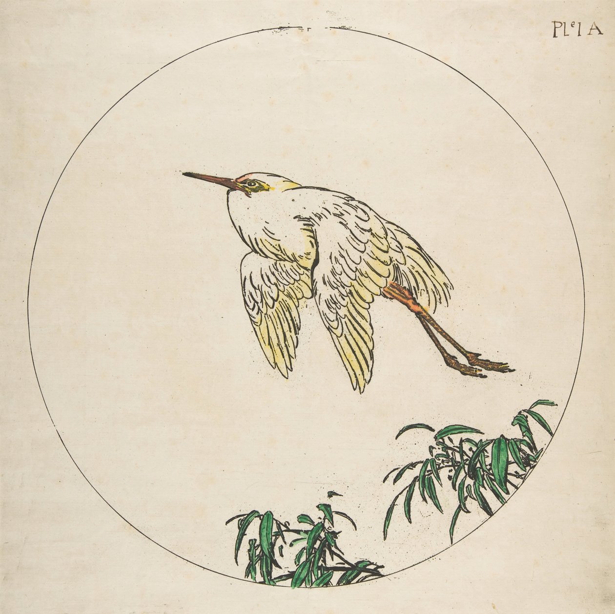 Decoration for a Plate: An Egret Flying Above Bamboo Branches, 1850-1914 by Felix Bracquemond