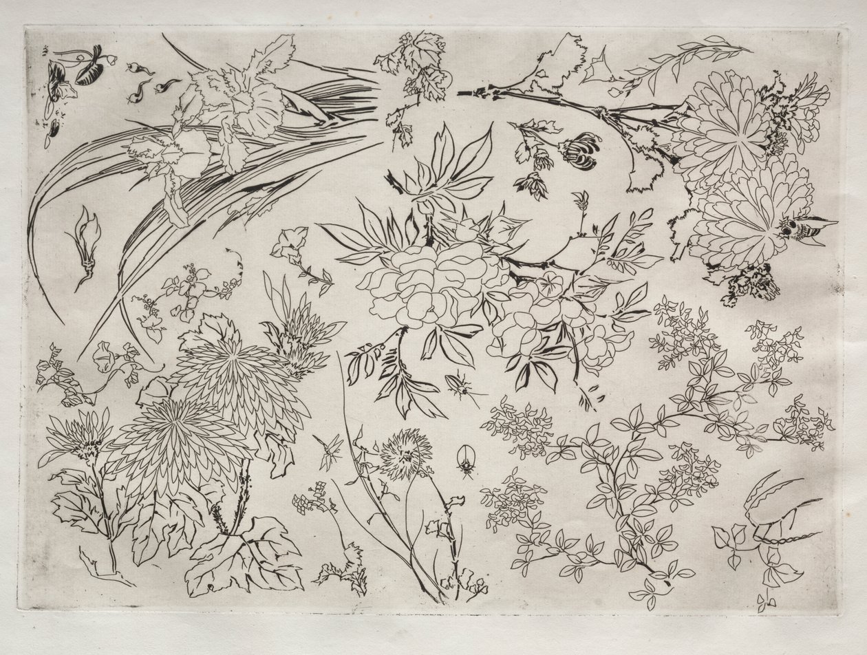 Dinner Service (Rousseau service): Flowers (no. 23) by Felix Bracquemond