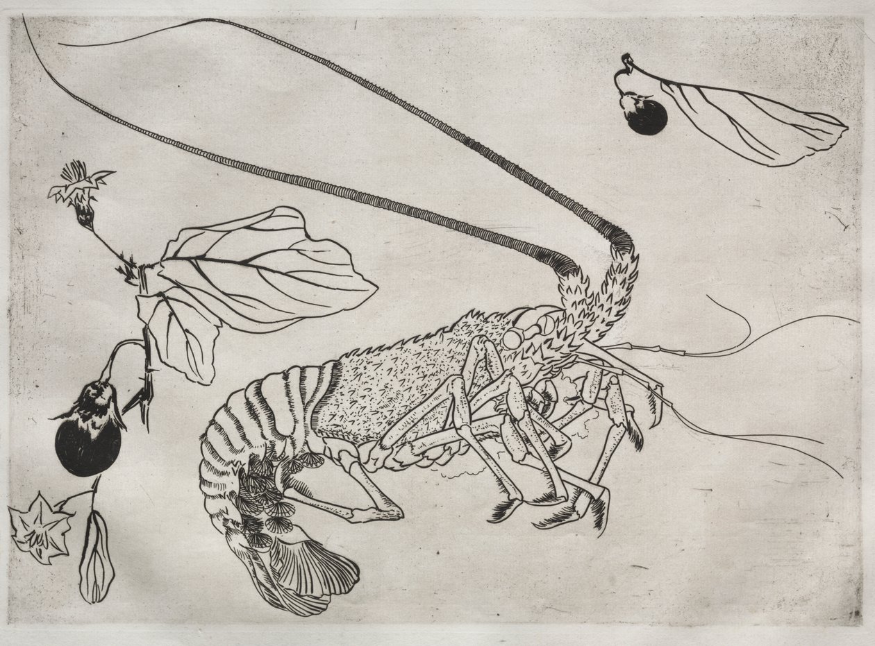 Dinner Service (Rousseau service): Large Lobster with Raised Antenna (no. 21) by Felix Bracquemond