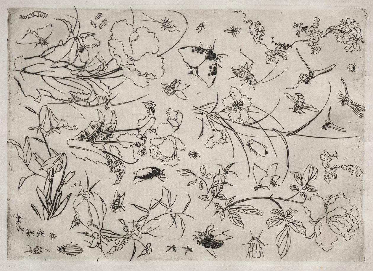 Dinner Service Rousseau Service: Flowers and Insects No. 15 by Felix Bracquemond