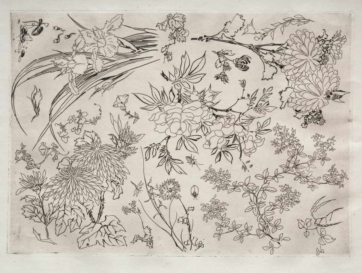 Dinner Service Rousseau: Flowers No. 23 by Felix Bracquemond